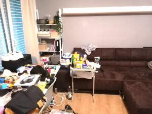 Aufgeräumtes Wohnzimmer mit braunem Sofa, weißen Kissen, Regal und Esstisch in harmonischen Farben.